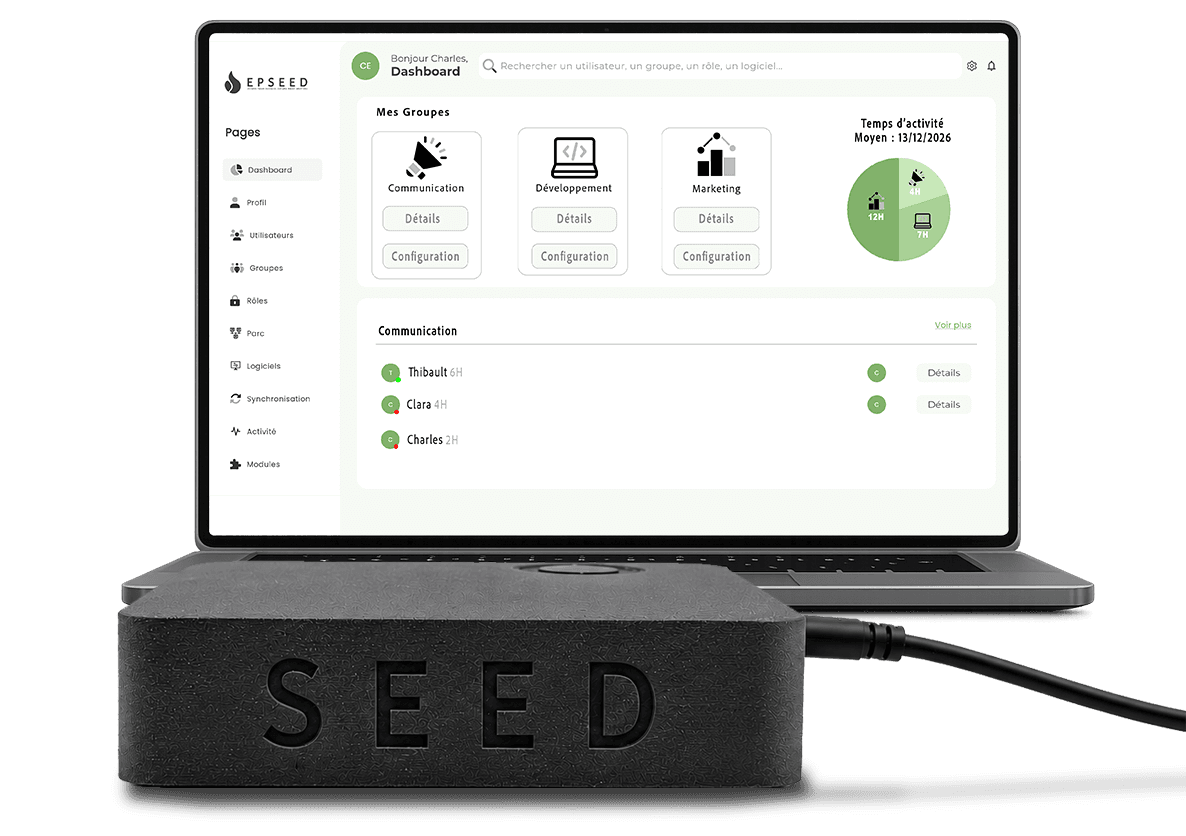 SEED workspace preview
