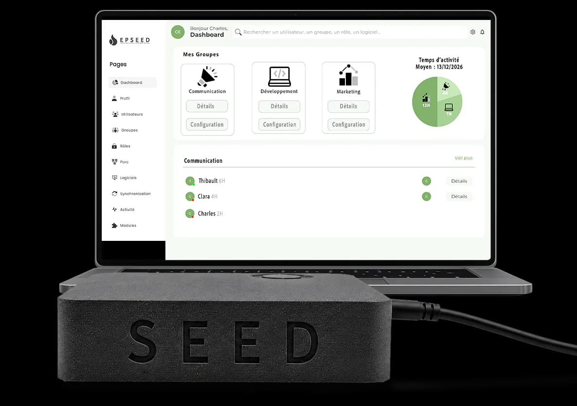 SEED workspace preview